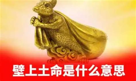 壁上土|壁上土命代表什么意思